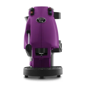 Viola